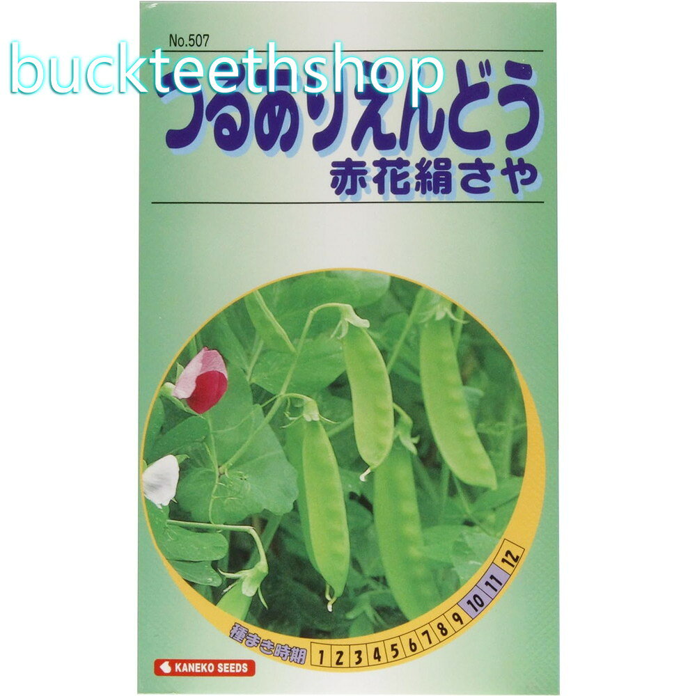 カネコ種苗　タネ　つるあり絹さやえんどう　赤花絹さや