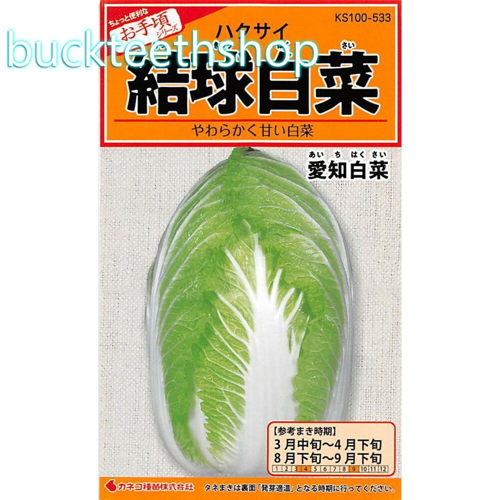 カネコ種苗　タネ　結球白菜　愛知白菜