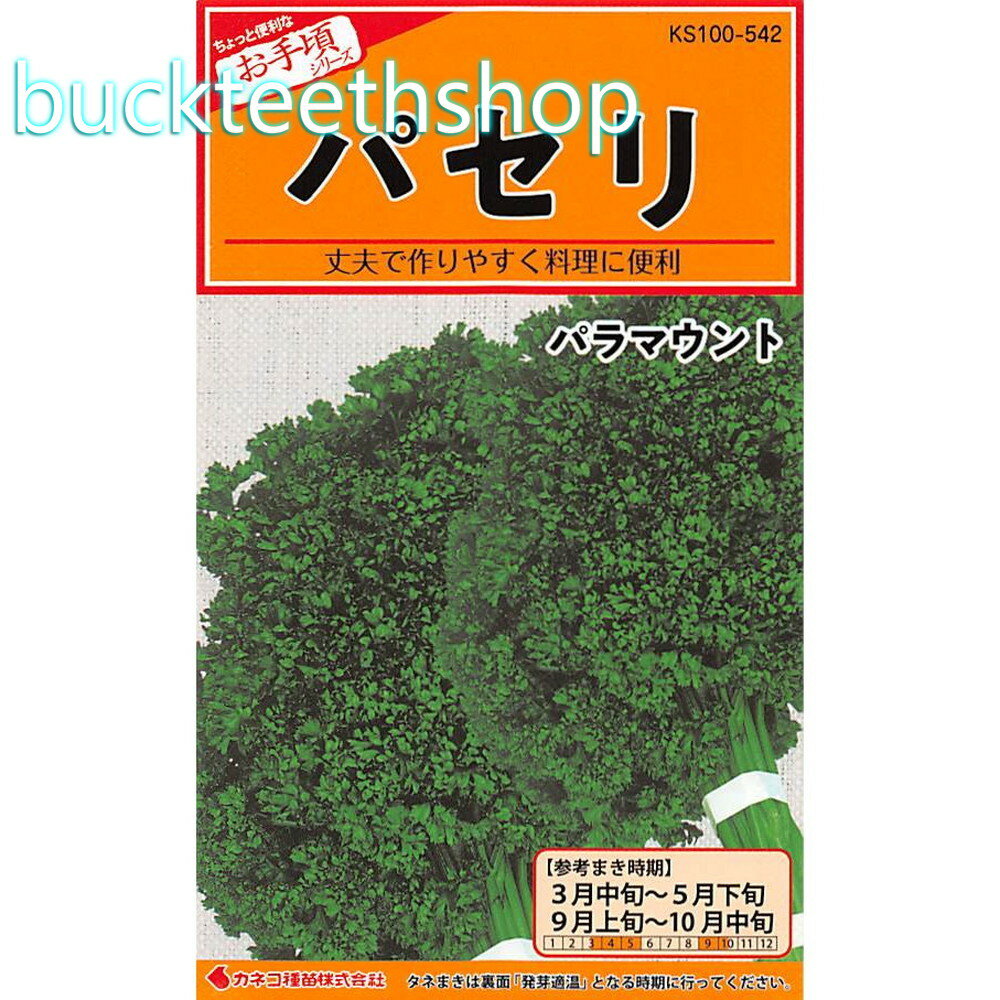 カネコ種苗　タネ　パセリ　パラマウント