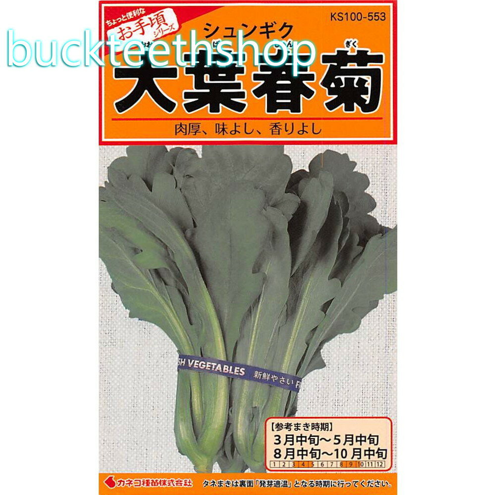 カネコ種苗　タネ　大葉春菊