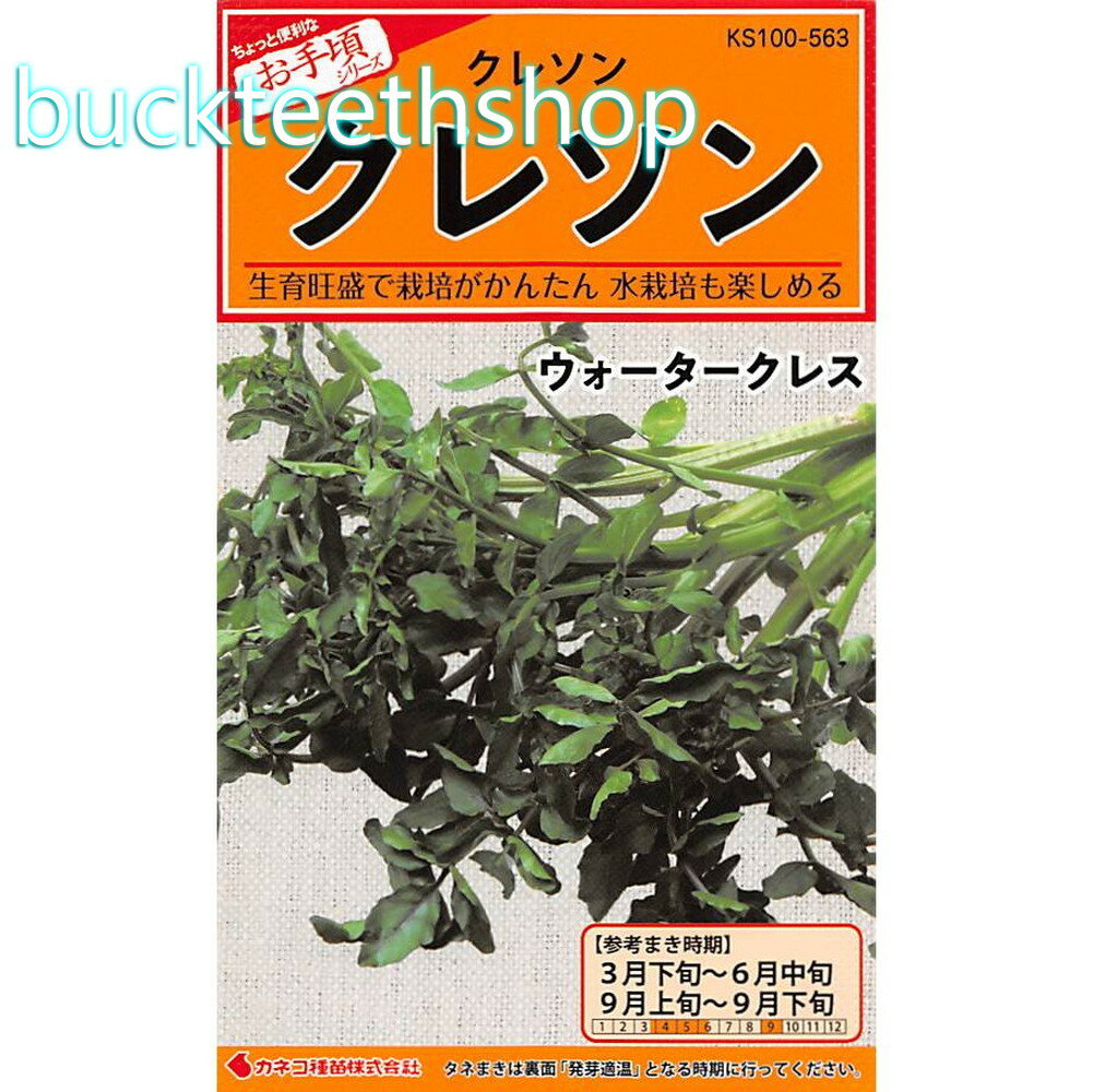 Other - カネコ種苗　タネ　クレソン　ウォータークレス