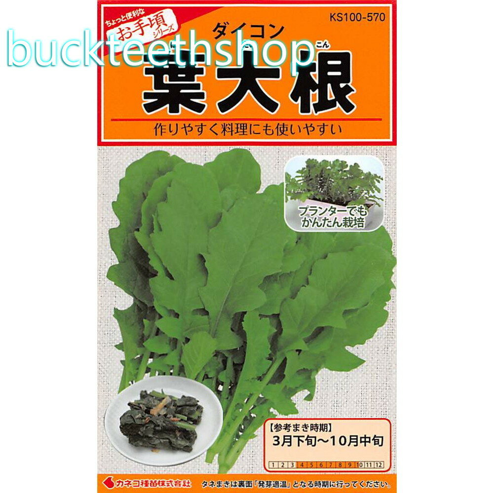 カネコ種苗　タネ　葉大根
