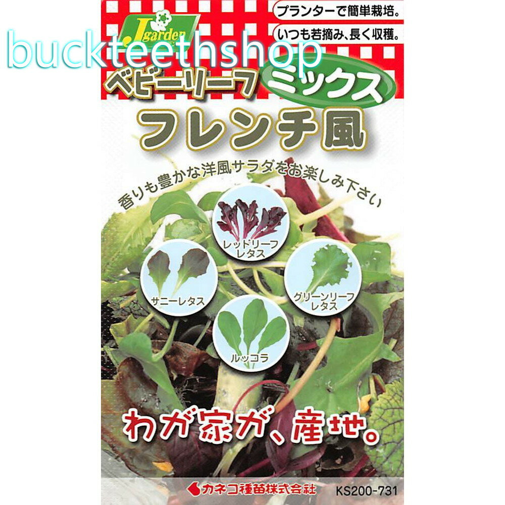 カネコ種苗　タネ　ベビーリーフ＿ミックス　フレンチ風