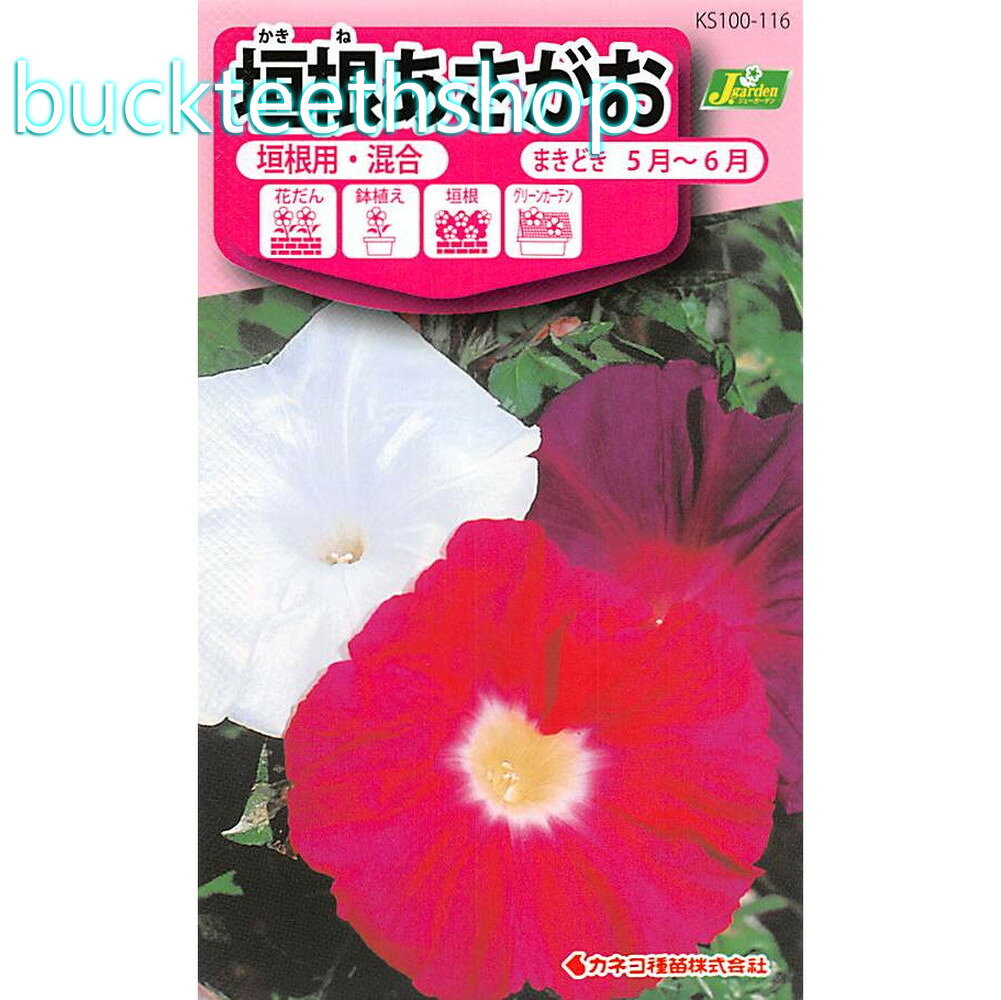 カネコ種苗　タネ　垣根あさがお　垣根用・混合