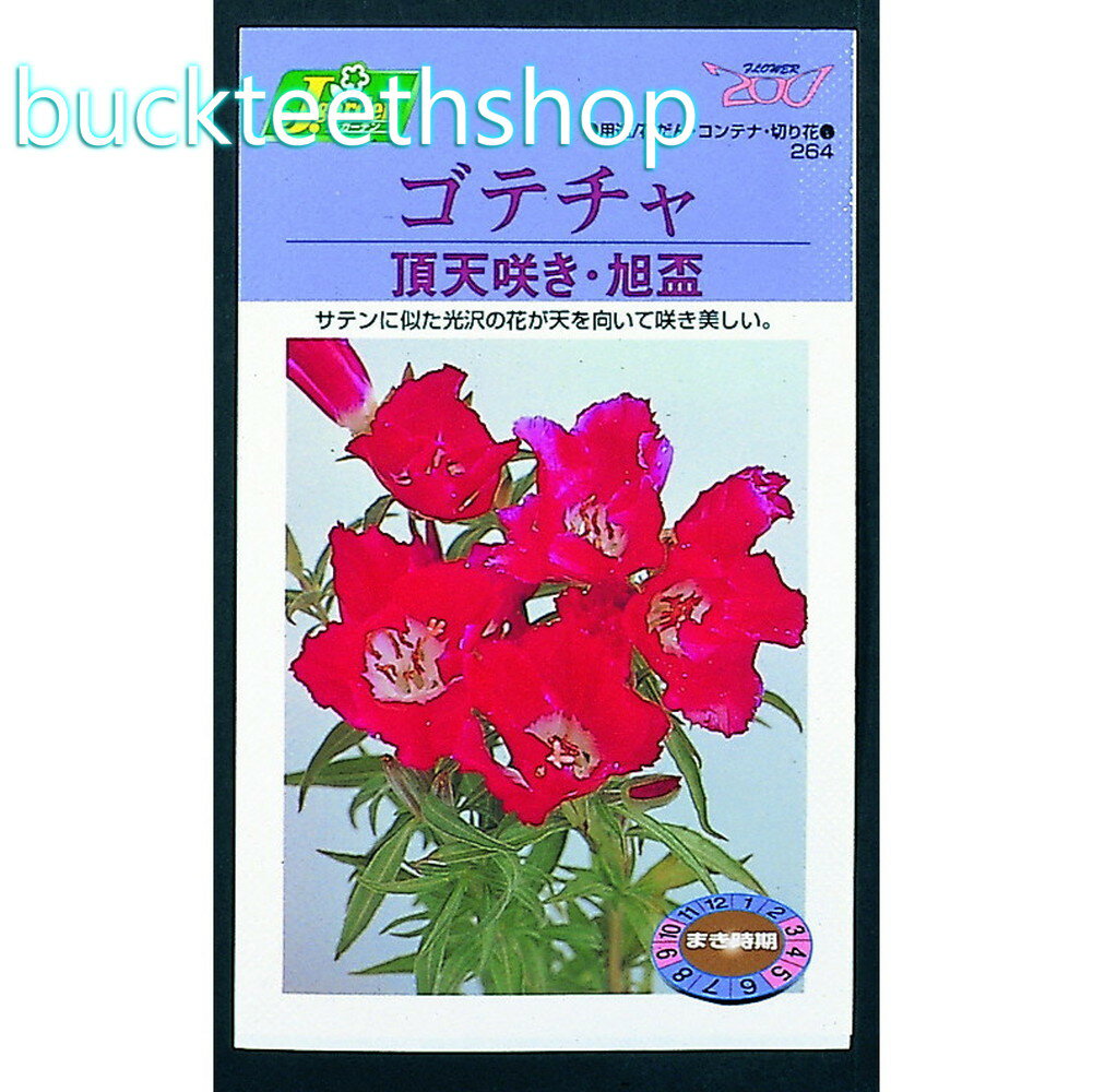 カネコ種苗　タネ　ゴテチャ　頂天咲き・旭盃