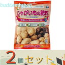 ※2個セット※朝日アグリア(株) じゃがいもの肥料888 550g (朝日)