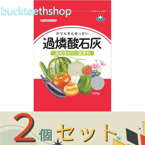※2個セット※朝日アグリア(株) 過燐酸石灰 400g 【50】4513272022275