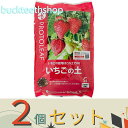 ※2個セット※プロトリーフ イチゴの土 5L (Pリーフ)
