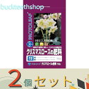 ※2個セット※プロトリーフ クリスマスローズの肥料 700g (Pリーフ)
