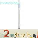 ※2個セット※東京園芸資材販売 サスティー リフィル 2本入 L