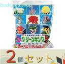 ※2個セット※マルタ小泉商事(有) グリーンキング 5kg