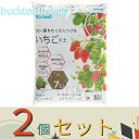 ※2個セット※(株)リッチェル営業 クロレラの恵みR いちごの土 7L 【6】4945680700795