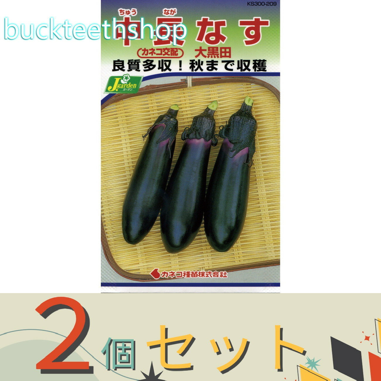 ※2個セット※カネコ種苗　タネ　中長なす　大黒田