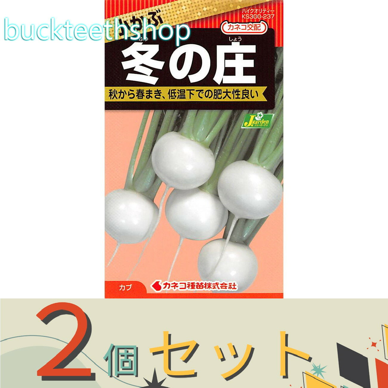 ※2個セット※カネコ種苗　タネ　小かぶ　冬の庄