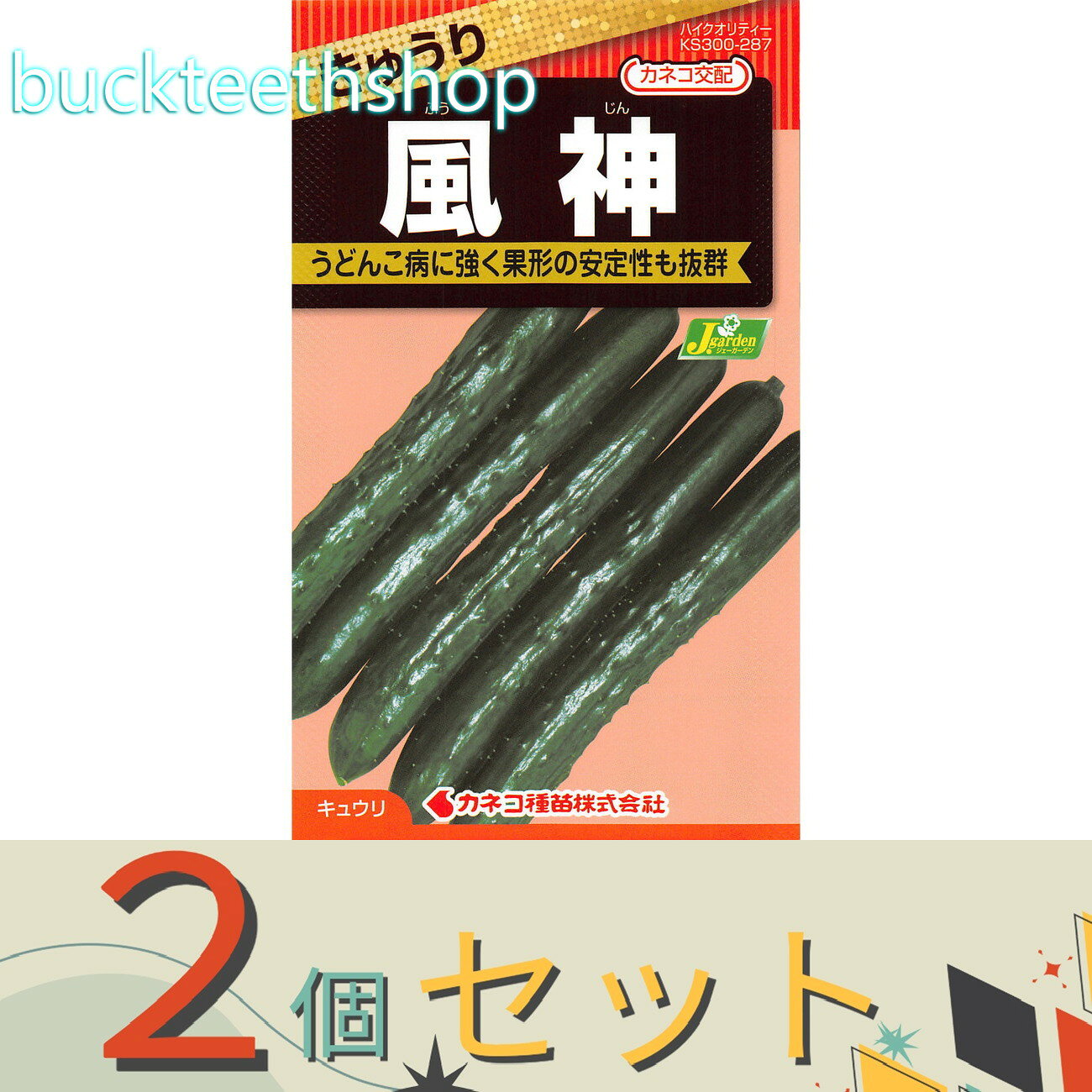 ※2個セット※カネコ種苗 タネ きゅうり 風神