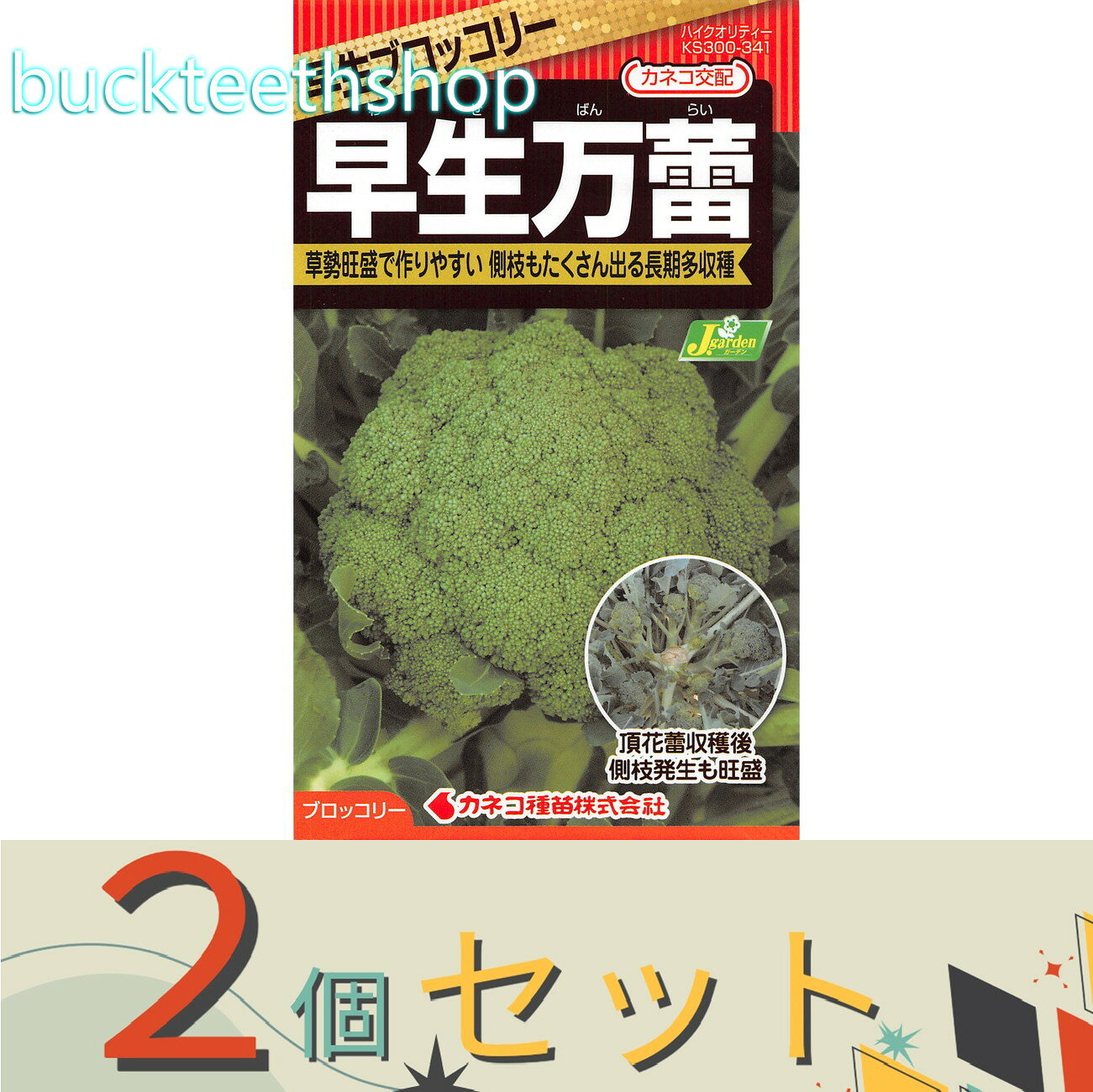 ※2個セット※カネコ種苗　タネ　早生ブロッコリー　早生万蕾