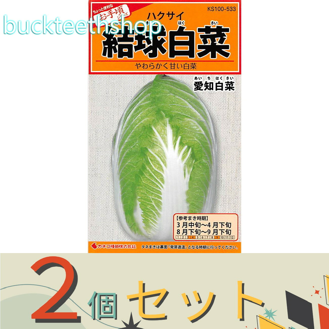 ※2個セット※カネコ種苗　タネ　結球白菜　愛知白菜