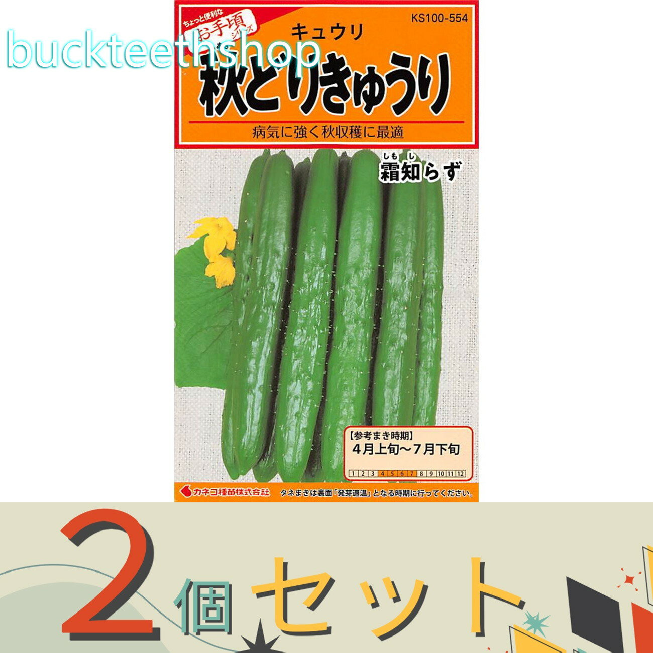 ※2個セット※カネコ種苗 タネ 秋どりきゅうり 霜知らず