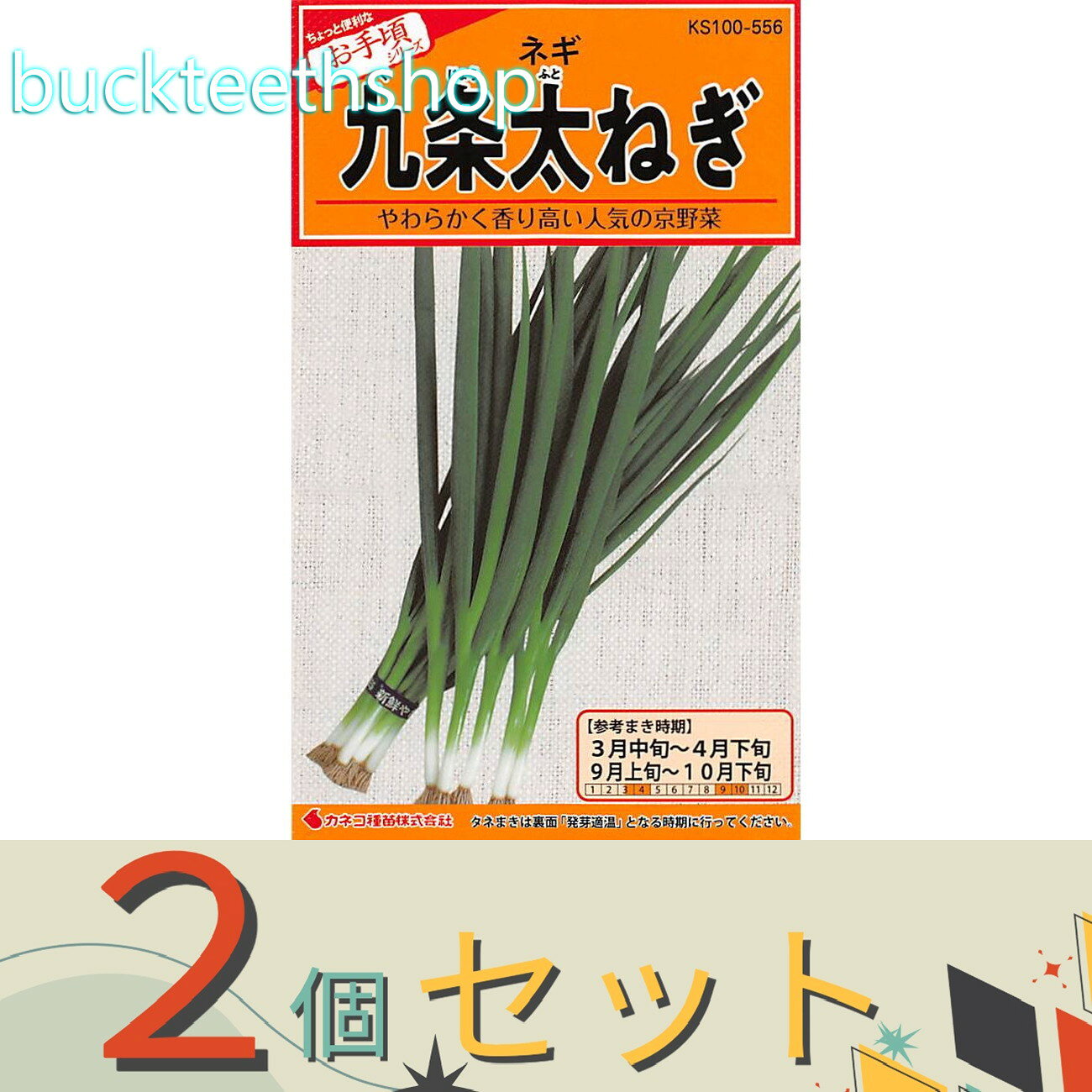 ※2個セット※カネコ種苗　タネ　九条太ねぎ