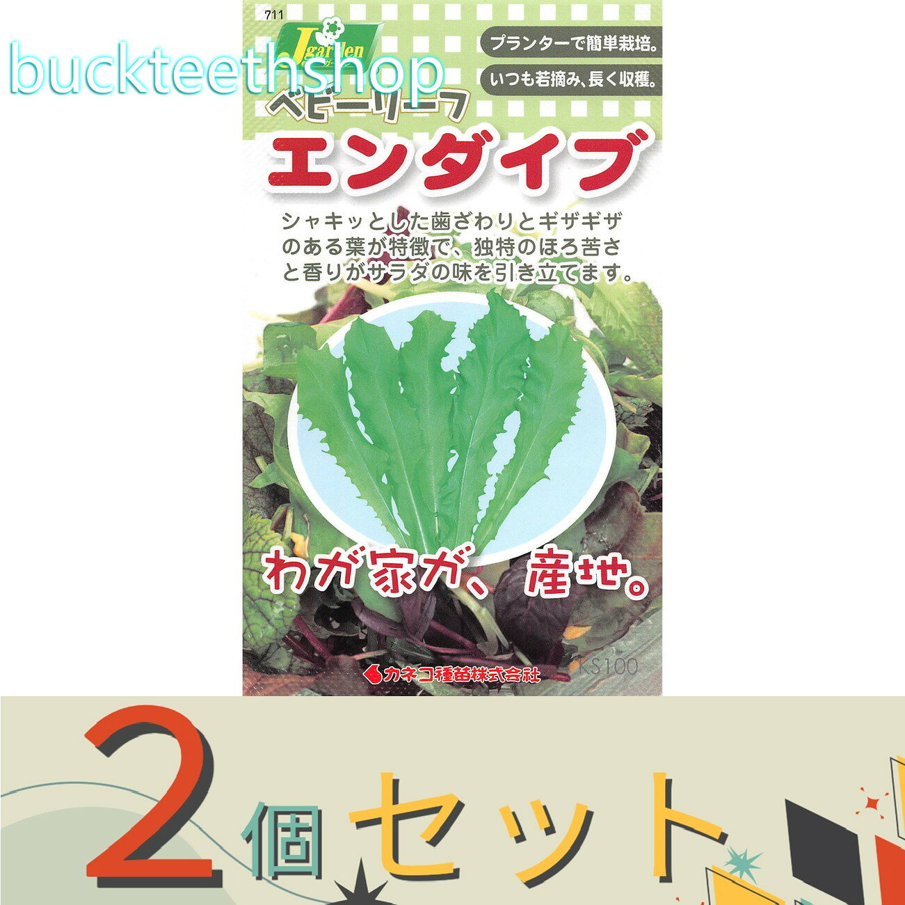 ※2個セット※カネコ種苗　タネ　ベビーリーフ＿エンダイブ