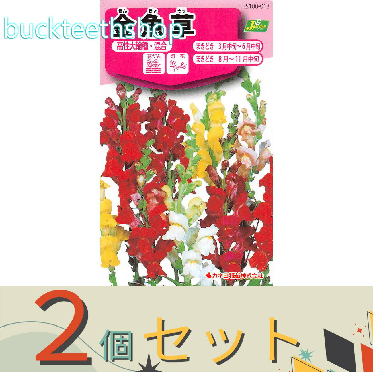 ※2個セット※カネコ種苗　タネ　金魚草　高性大輪花・混合