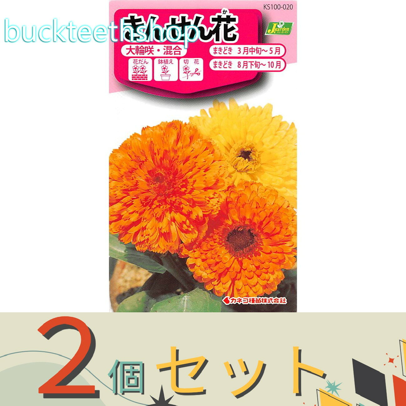 ※2個セット※カネコ種苗　タネ　きんせん花　大輪咲・混合