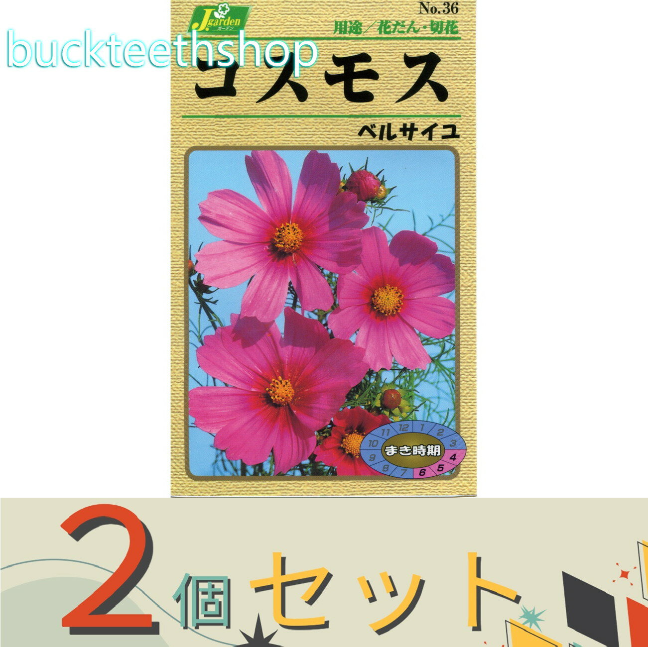 ※2個セット※カネコ種苗 タネ コスモス ベルサイユ