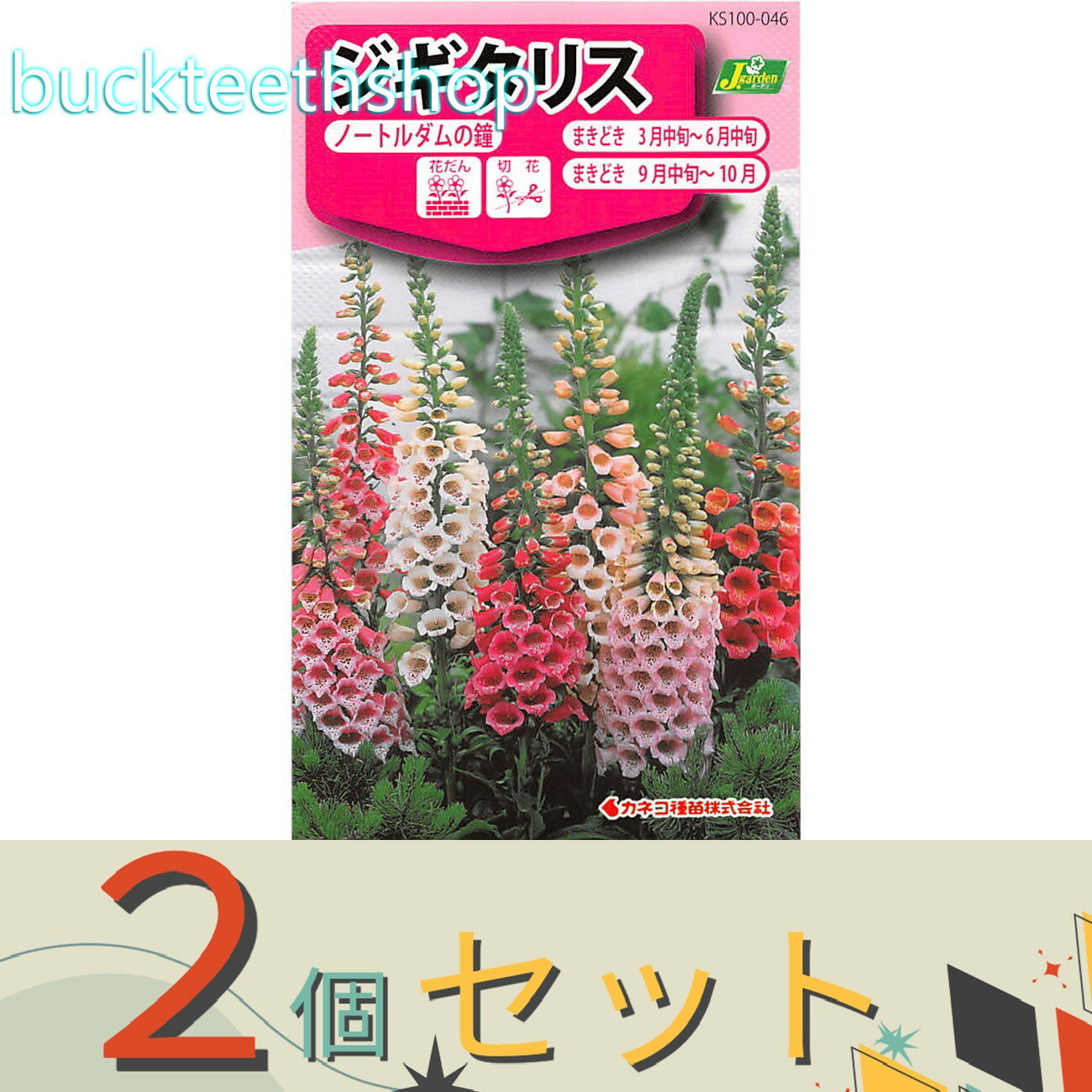 ※2個セット※カネコ種苗　タネ　ジキタリス　ノートルダムの鐘
