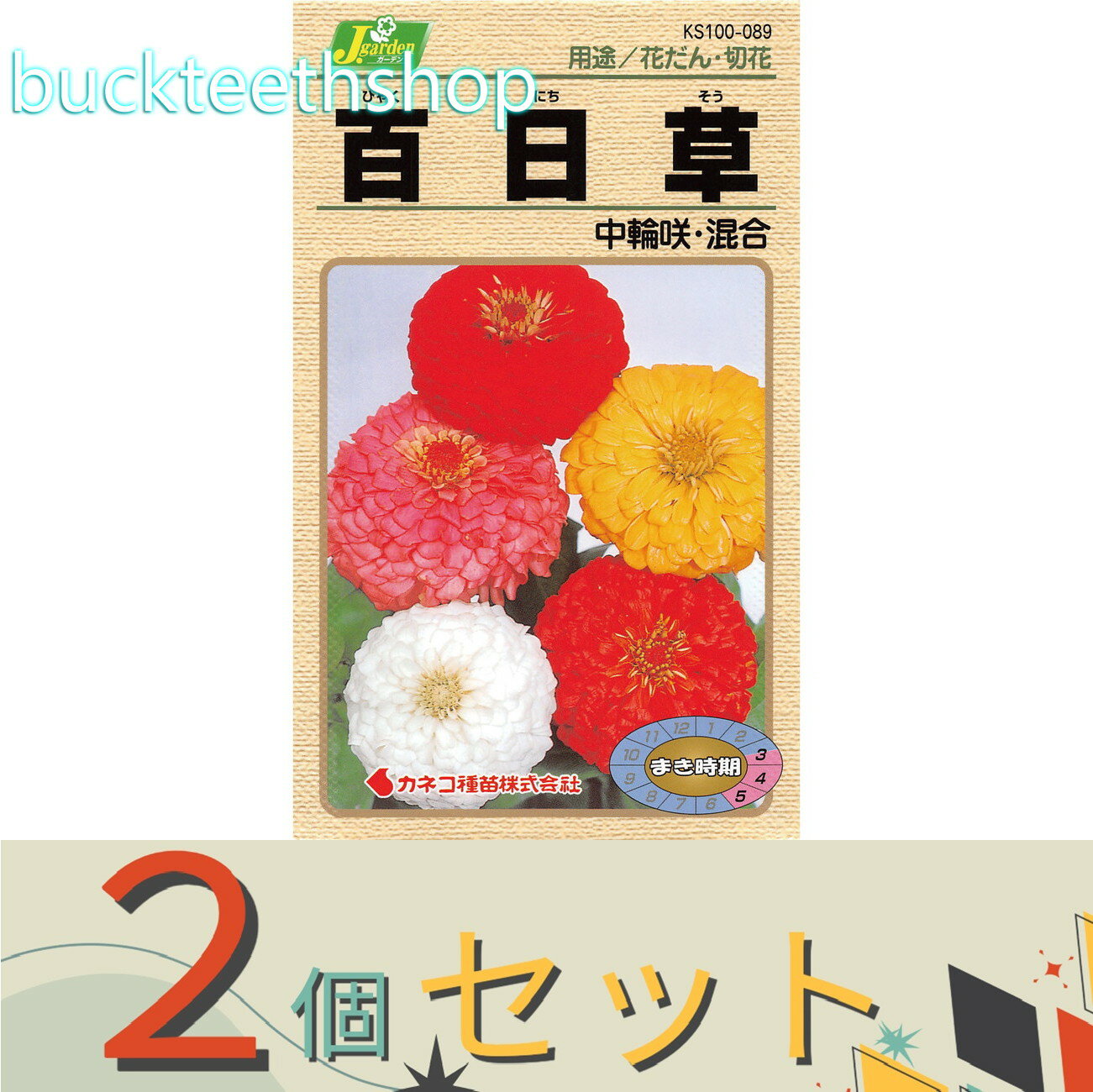 ※2個セット※カネコ種苗　タネ　百日草　中輪咲・混合