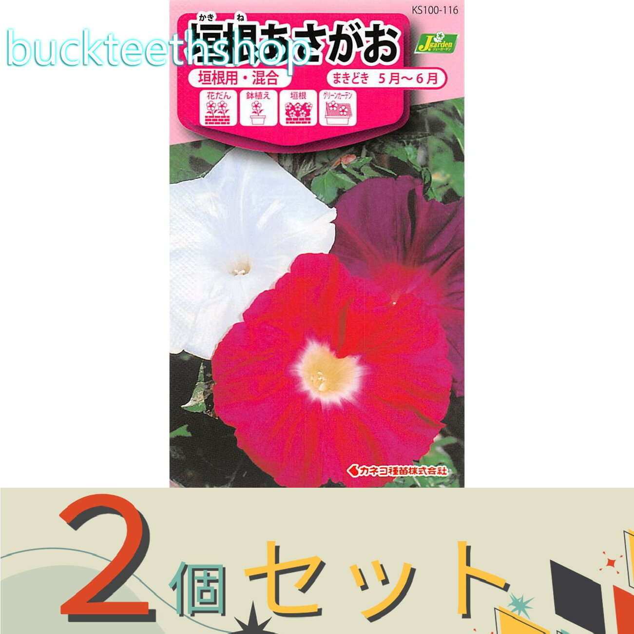 ※2個セット※カネコ種苗　タネ　垣根あさがお　垣根用・混合