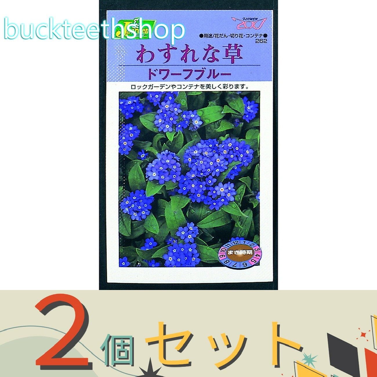 ※2個セット※カネコ種苗　タネ　わすれな草　ドワーフブルー
