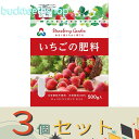 ※3個セット※朝日アグリア(株) いちごの肥料 500g 【40】4513272021094