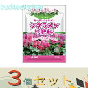 ※3個セット※朝日アグリア(株) シクラメンの肥料300g 【50】4513272022015