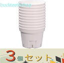 ※3個セット※アップルウエア Sポット 75型10個組 ホワイト 【300】4539920901785