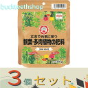 ※3個セット※日清商事(株) 観葉・多肉植物の肥料 300g 【50】4560194955327