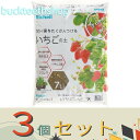 ※3個セット※(株)リッチェル営業 クロレラの恵みR いちごの土 7L 【6】4945680700795