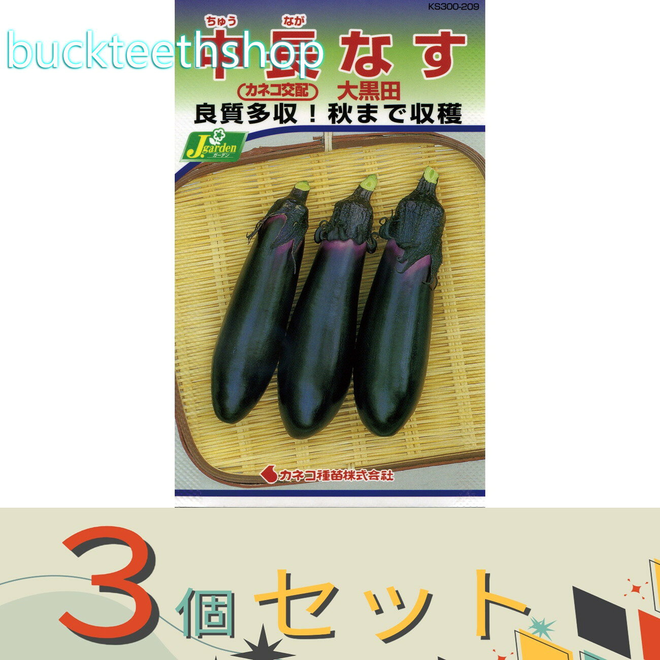 Other - ※3個セット※カネコ種苗　タネ　中長なす　大黒田