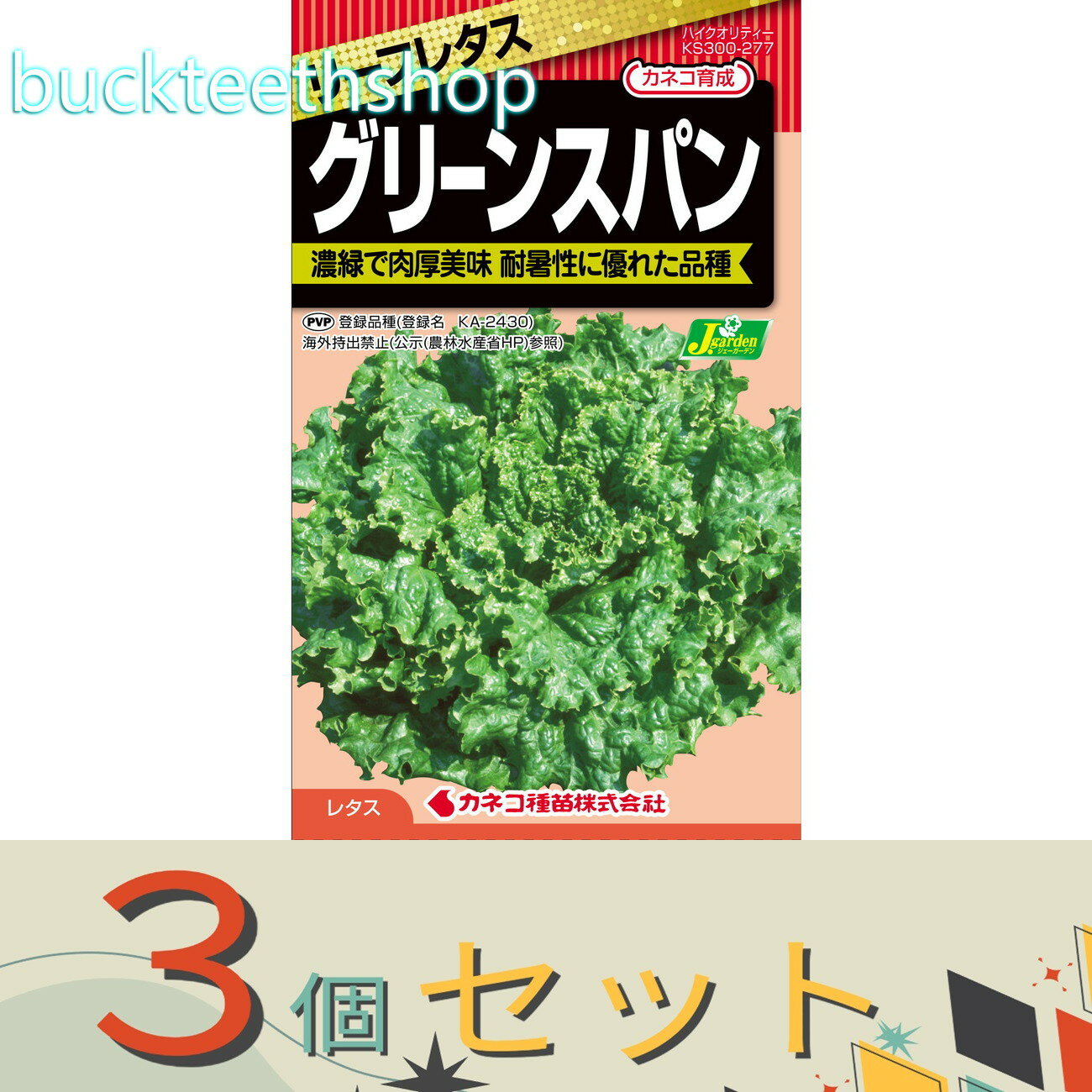 ※3個セット※カネコ種苗　タネ　リーフレタス　グリーンスパン