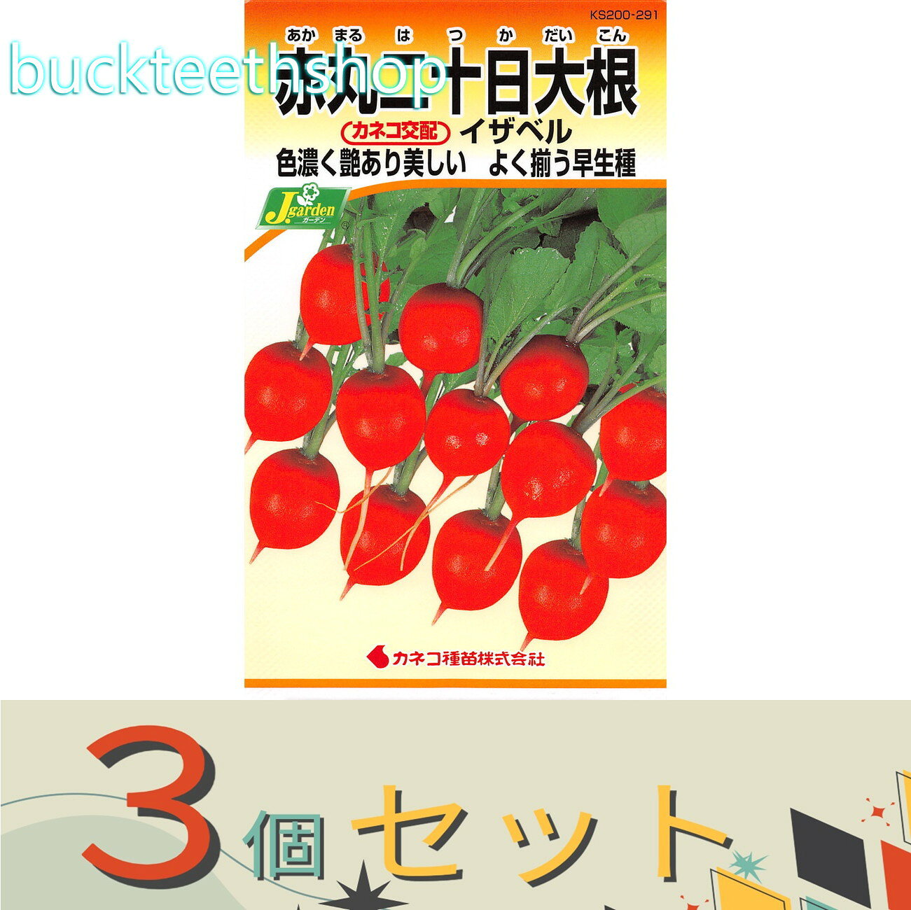 ※3個セット※カネコ種苗 タネ 赤丸二十日大根 イザベル