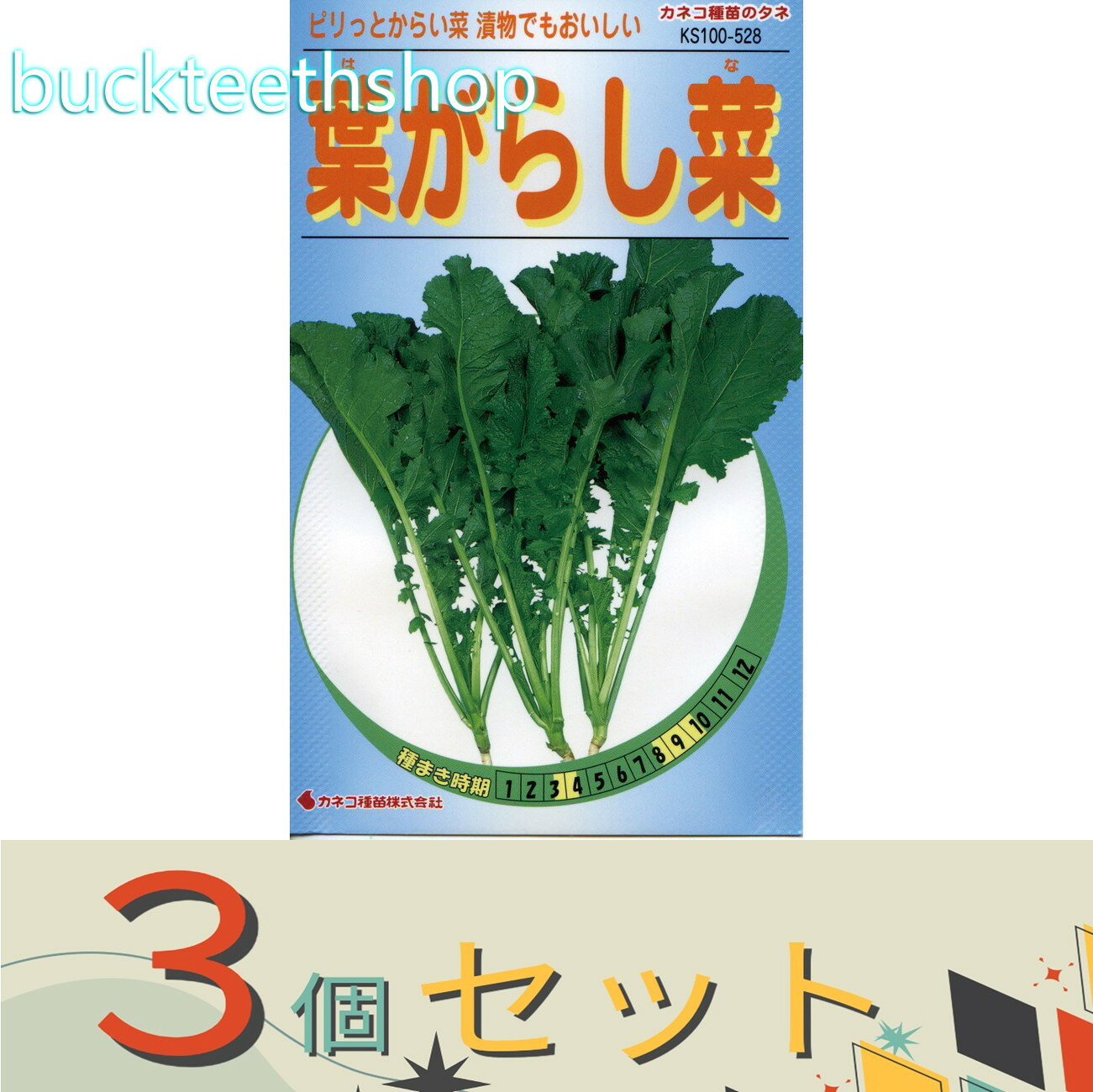 ※3個セット※カネコ種苗　タネ　葉がらし菜