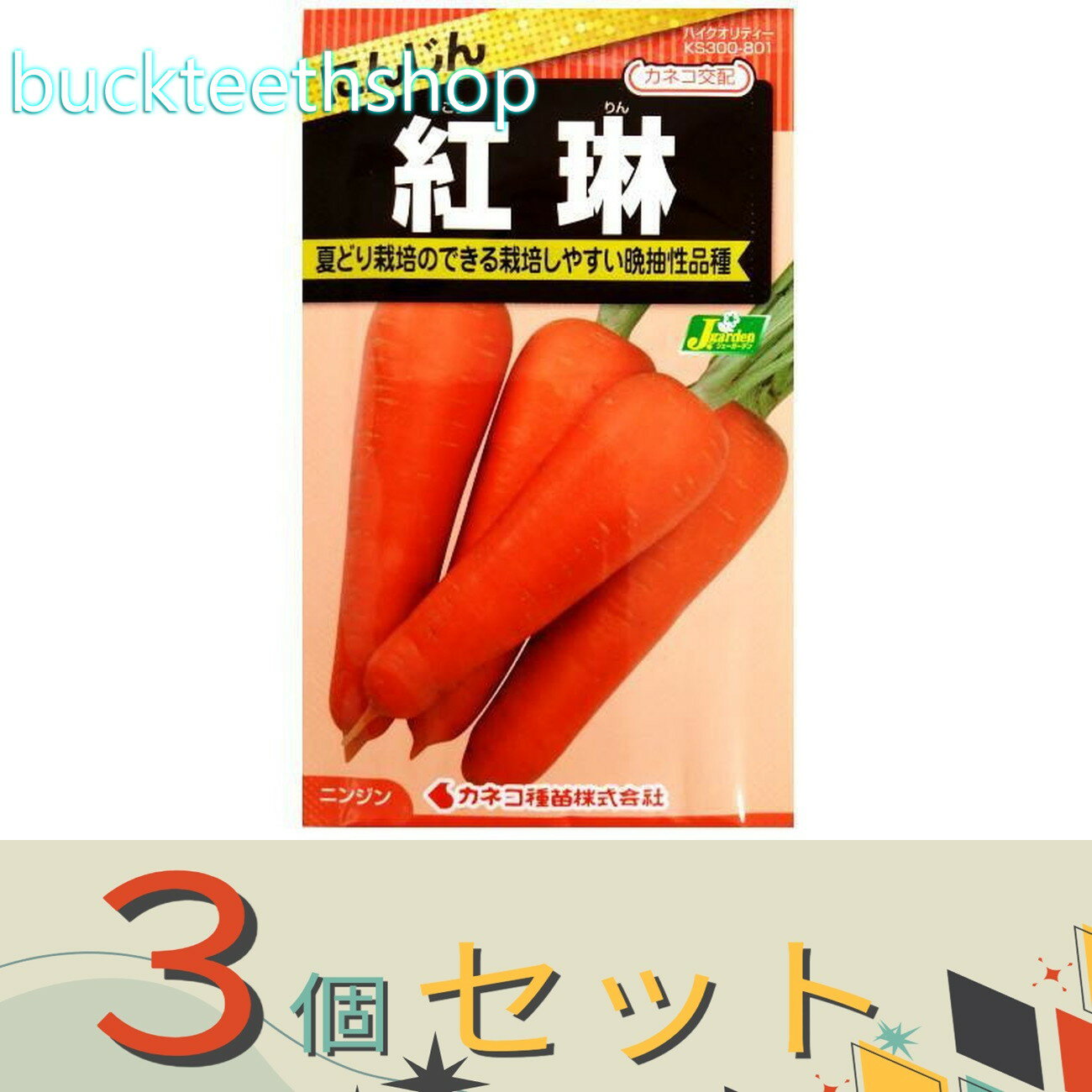 ※3個セット※カネコ種苗　タネ　にんじん　紅琳