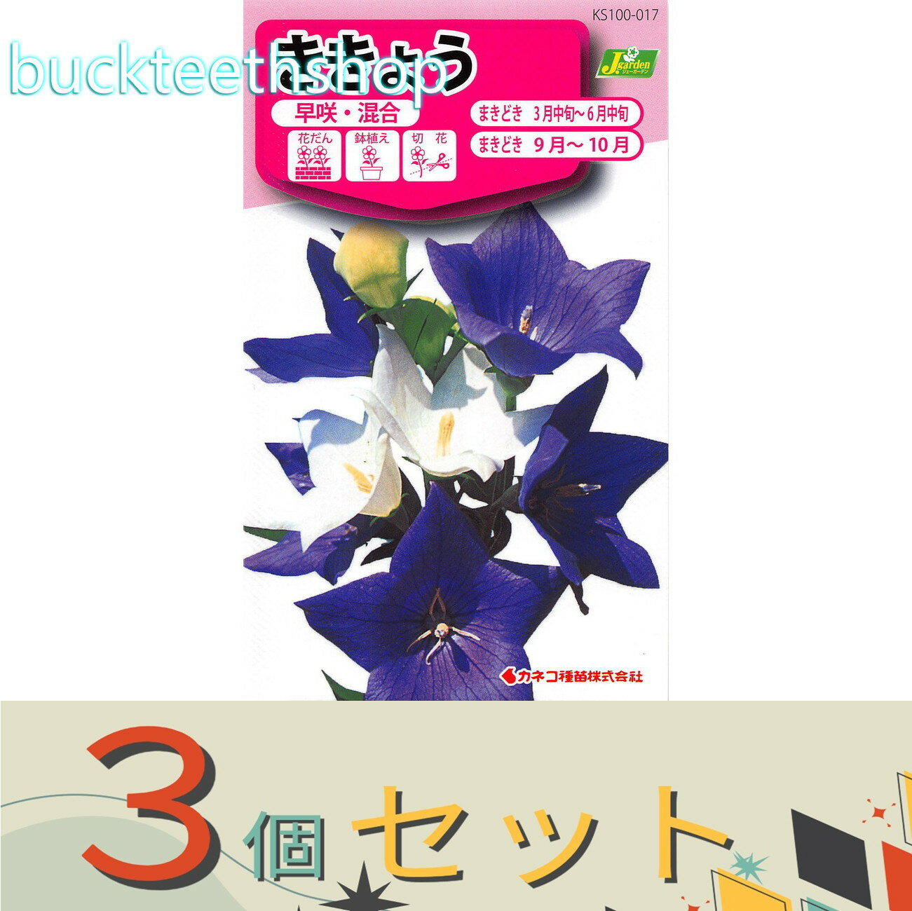 ※3個セット※カネコ種苗　タネ　ききょう　早咲・混合