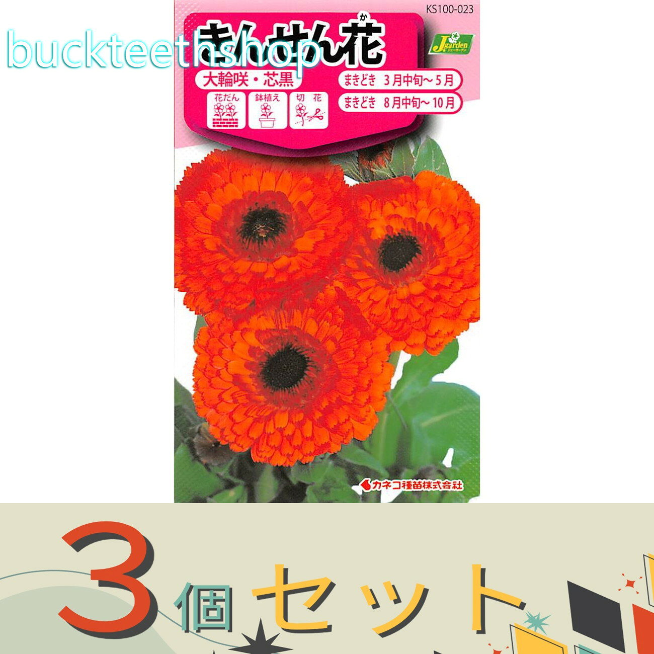 Other - ※3個セット※カネコ種苗　タネ　きんせん花　大輪咲・芯黒