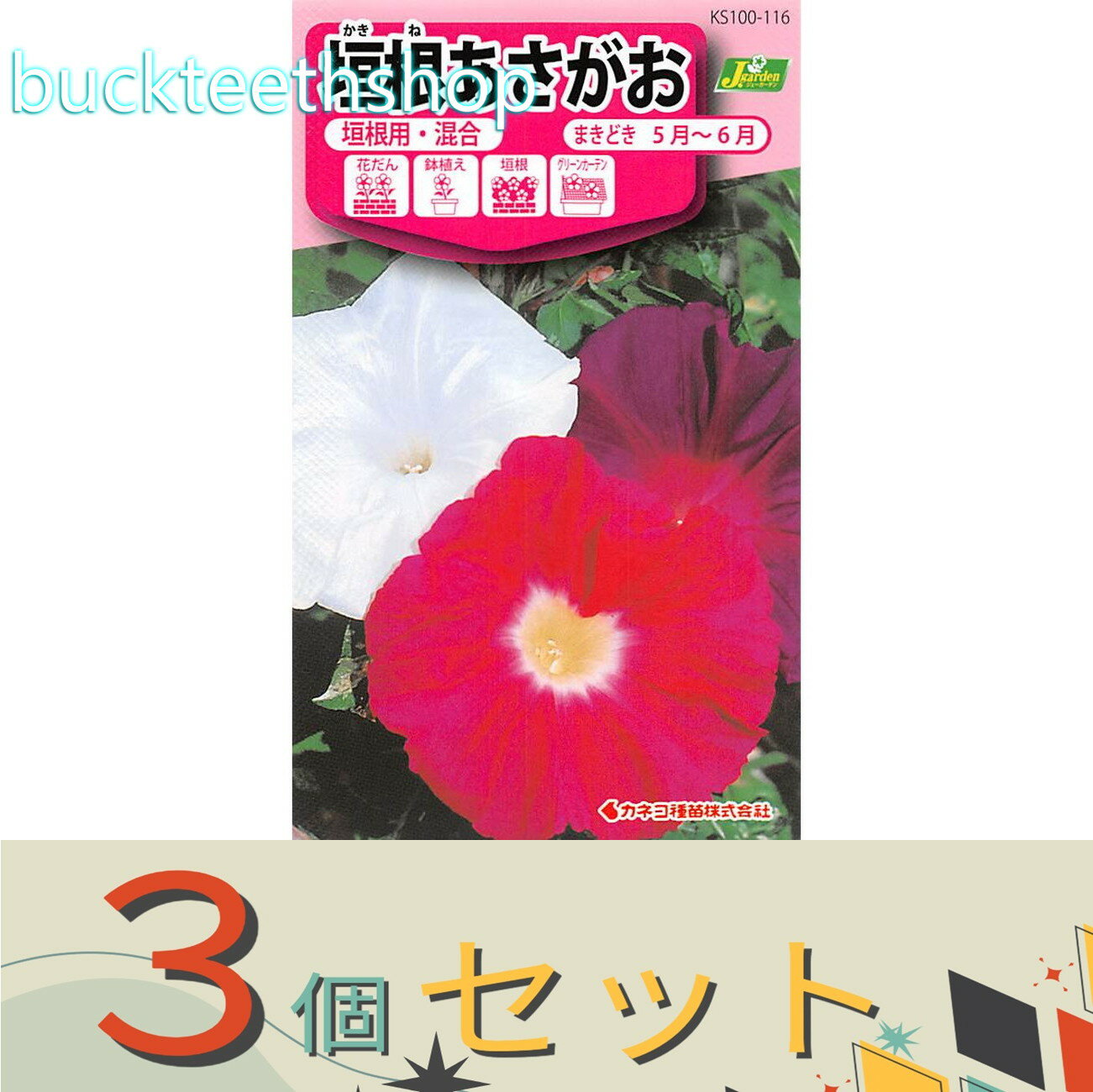 ※3個セット※カネコ種苗　タネ　垣根あさがお　垣根用・混合のサムネイル