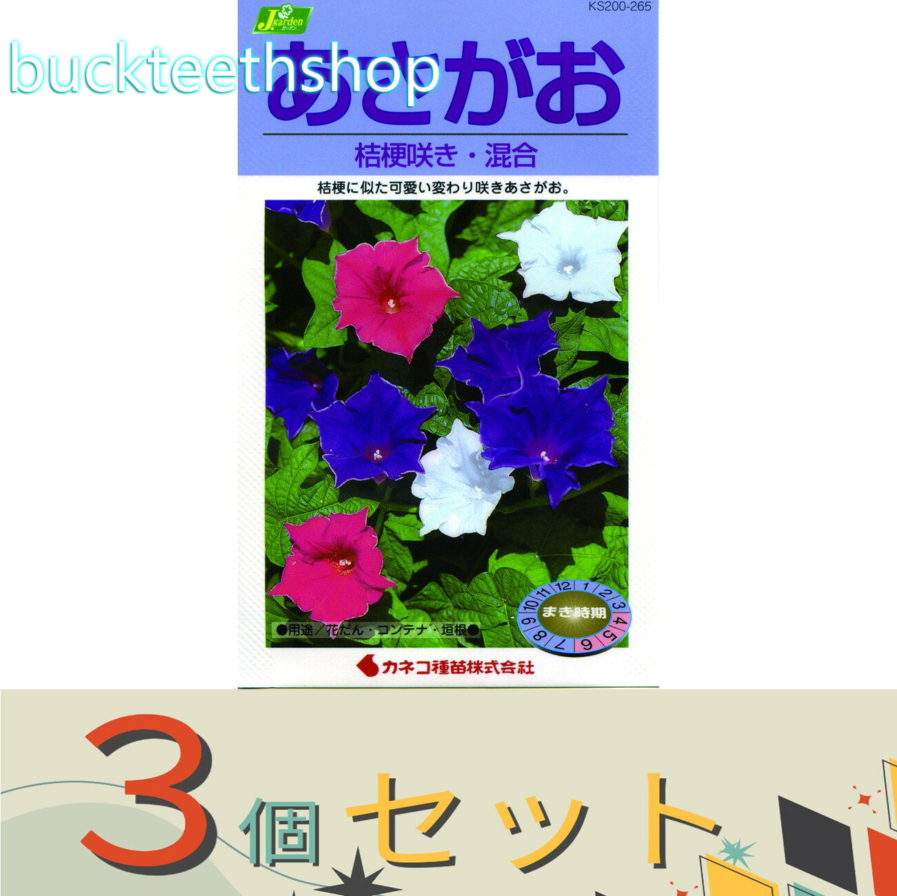 ※3個セット※カネコ種苗　タネ　あさがお　桔梗咲き・混合
