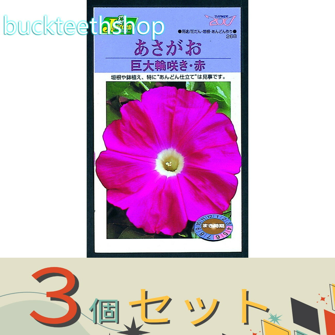 ※3個セット※カネコ種苗　タネ　あさがお　巨大輪咲き・赤