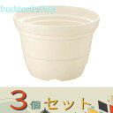 ※3個セット※(株)リッチェル営業 カラーバリエ 輪鉢 6号 W 【60】746622
