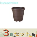 ※3個セット※(株)リッチェル営業 カラーバリエ 長鉢 6号 コーヒーBR 【60】751640