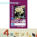 ※4個セット※プロトリーフ クリスマスローズの肥料 700g (Pリーフ)