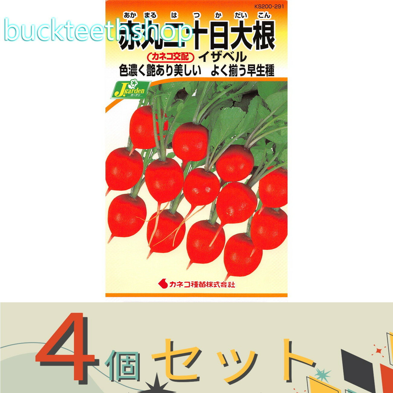 ※4個セット※カネコ種苗　タネ　赤丸二十日大根　イザベル